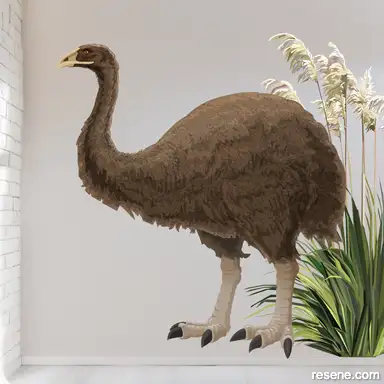 Moa