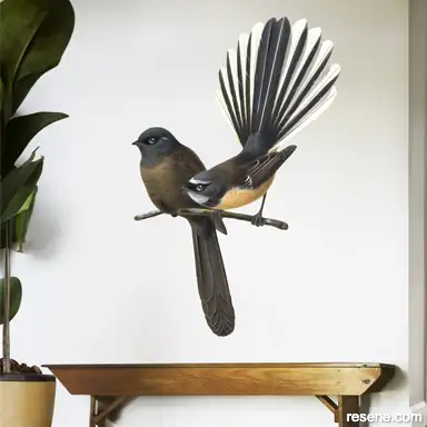 Perching fantails 