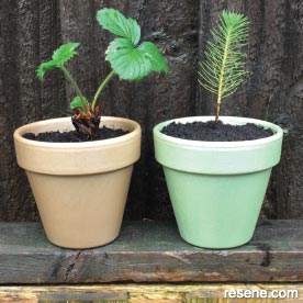 Sparkly planters