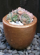Paint a golden concrete pot