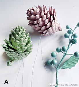 Pine cones