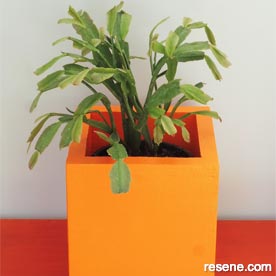 Make a plant box