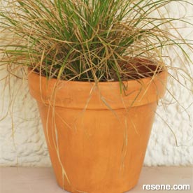 Paint a terracotta pot